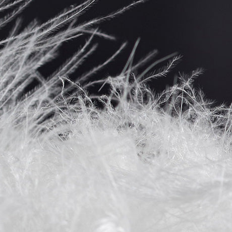 image_alt_placeholder