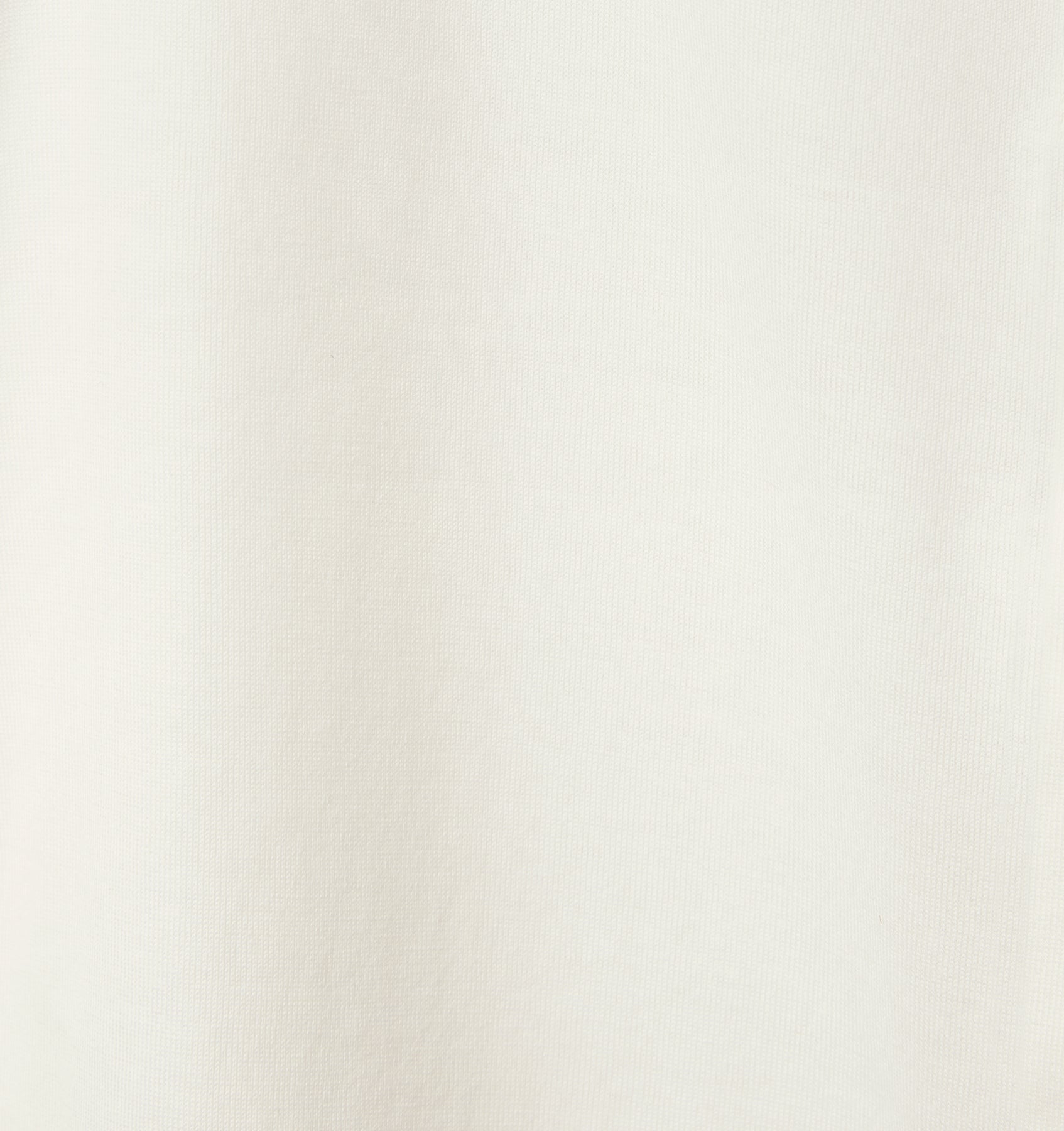 variant__ivory/ivory