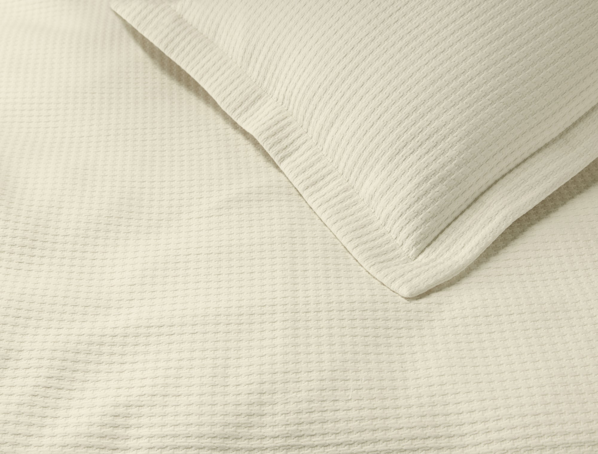 image_alt_placeholder