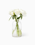 Oculus vase in clear