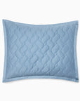 Palatino sham in sea on a white background
