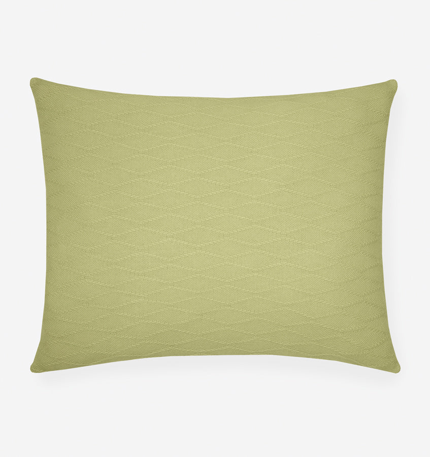 Cetara Bundle - Kiwi