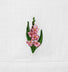 GLADIOLUS (AUGUST)
