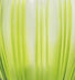 CLEAR/LIGHT GREEN
