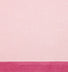 CARNATION/PINK